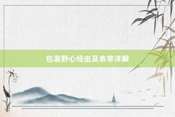 包装野心经由及表率详解
