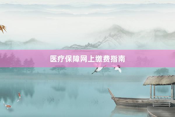 医疗保障网上缴费指南