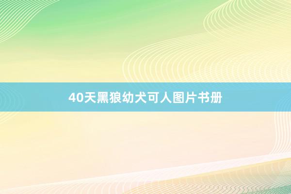 40天黑狼幼犬可人图片书册