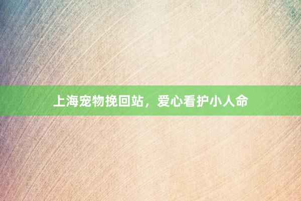 上海宠物挽回站，爱心看护小人命